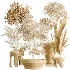 AV Indoor Plants Set 526 Aspidistra Elatior Olive Ficus Palm - Thumbnail 8