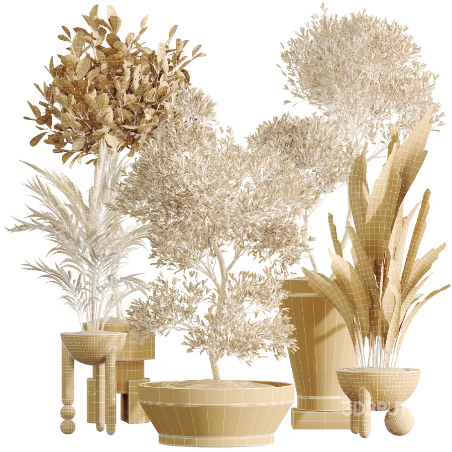 AV Indoor Plants Set 526 Aspidistra Elatior Olive Ficus Palm Image 8