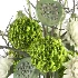Bouquet of Flowers with Hydrangea 054 - Thumbnail 3