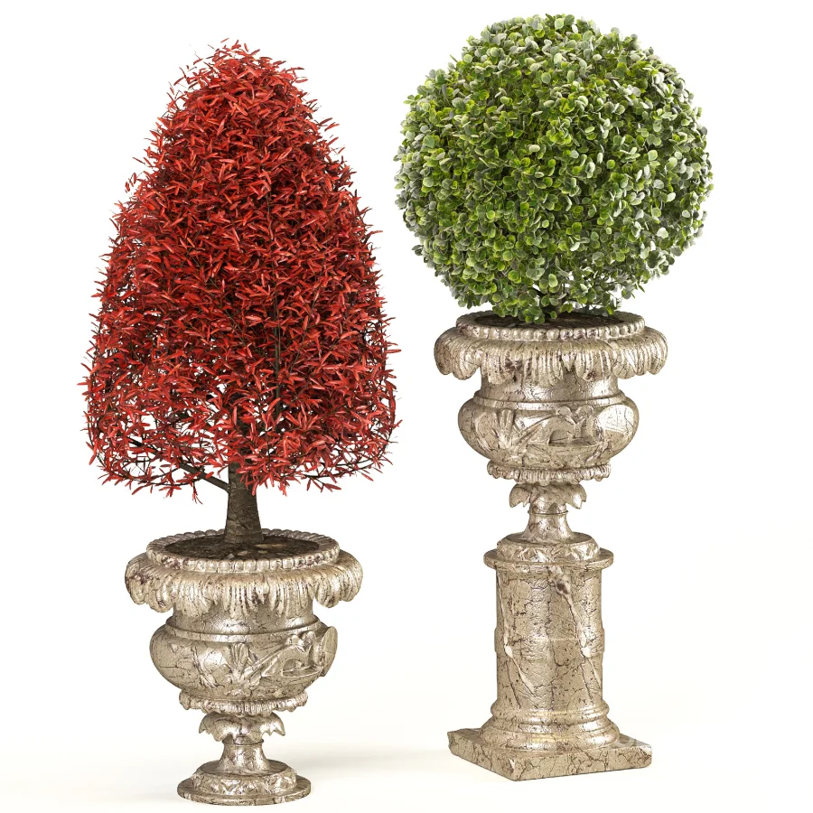 Outdoor Plant 06 – Neoclassical Style Image 2