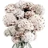 Flowers in Vase Collection 64 - Thumbnail 2