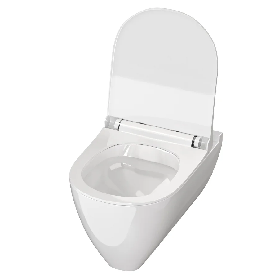 Modern Toilet 01 Image 2