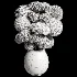 Flowers in Vase Collection 64 - Thumbnail 5