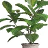 Verdant Harmony Planter 061 - Thumbnail 4