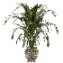 Plant Set 14 - Thumbnail 2