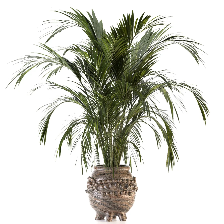 Plant Set 14 Image 2