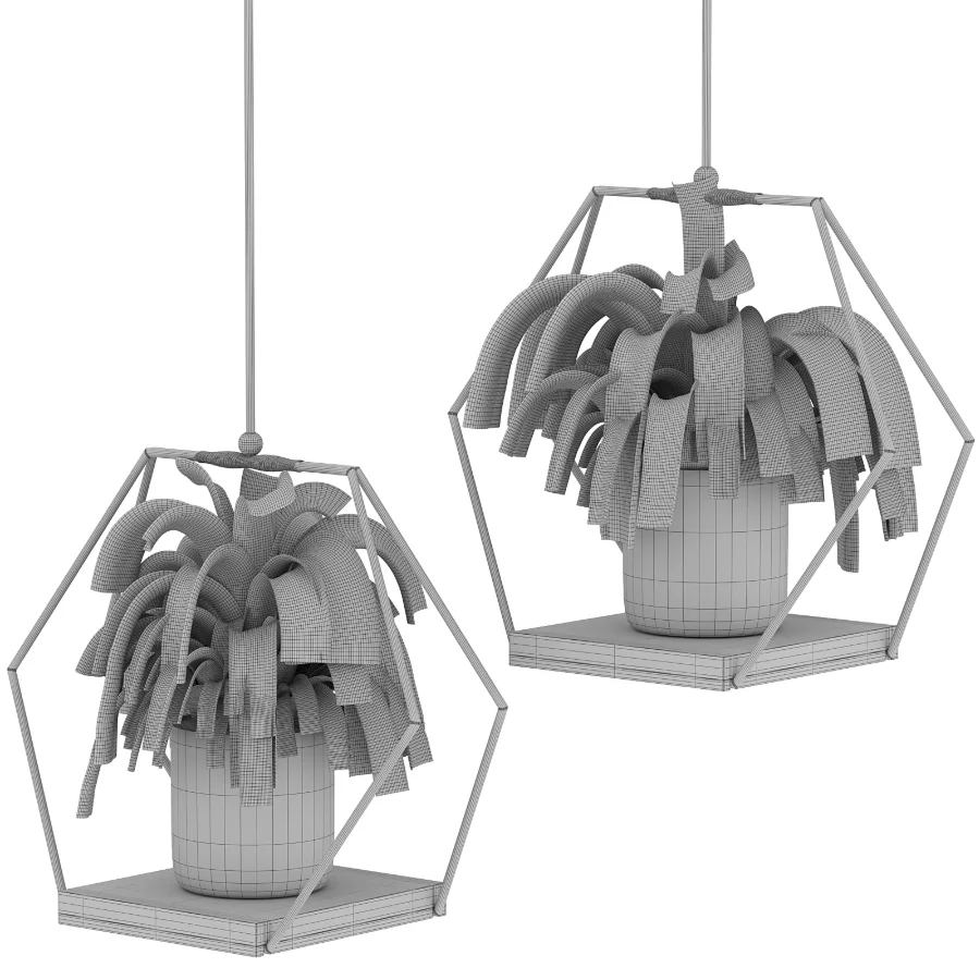 Hanging Plant 06 Image 2