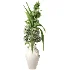 Flowers in Vase Collection 63 - Thumbnail 1