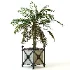 Outdoor Plant 04 – Palm Tree Planter - Thumbnail 2