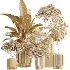 AV Indoor Plants Set 609 Ficus Cyathistipula Olive Palm Bird Of Paradise - Thumbnail 7