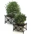 Outdoor Plant 03 – Decorative Planter Trees - Thumbnail 2