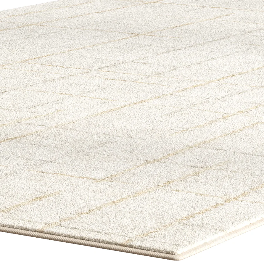 Carpet for interior Image 3