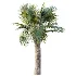 AV Plant Bismarckia Nobilisi Palm Tree 01 - Thumbnail 3