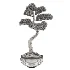 Pine Bonsai Tree-set-003 - Thumbnail 3