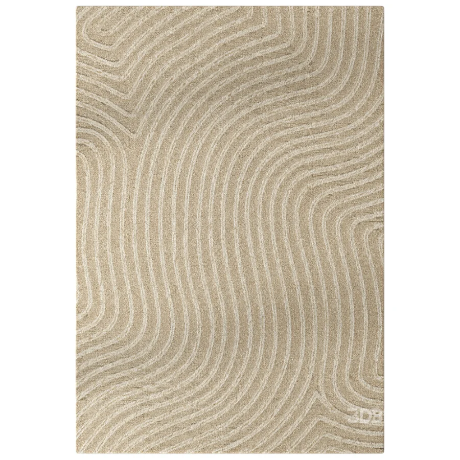 Carpet Image 2