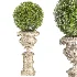 Outdoor Plant 06 – Neoclassical Style - Thumbnail 1