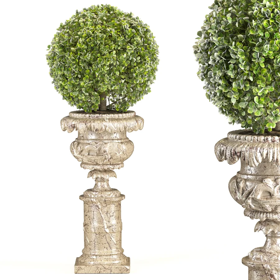 Outdoor Plant 06 – Neoclassical Style Image 1
