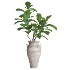 Verdant Harmony Planter 061 - Thumbnail 2