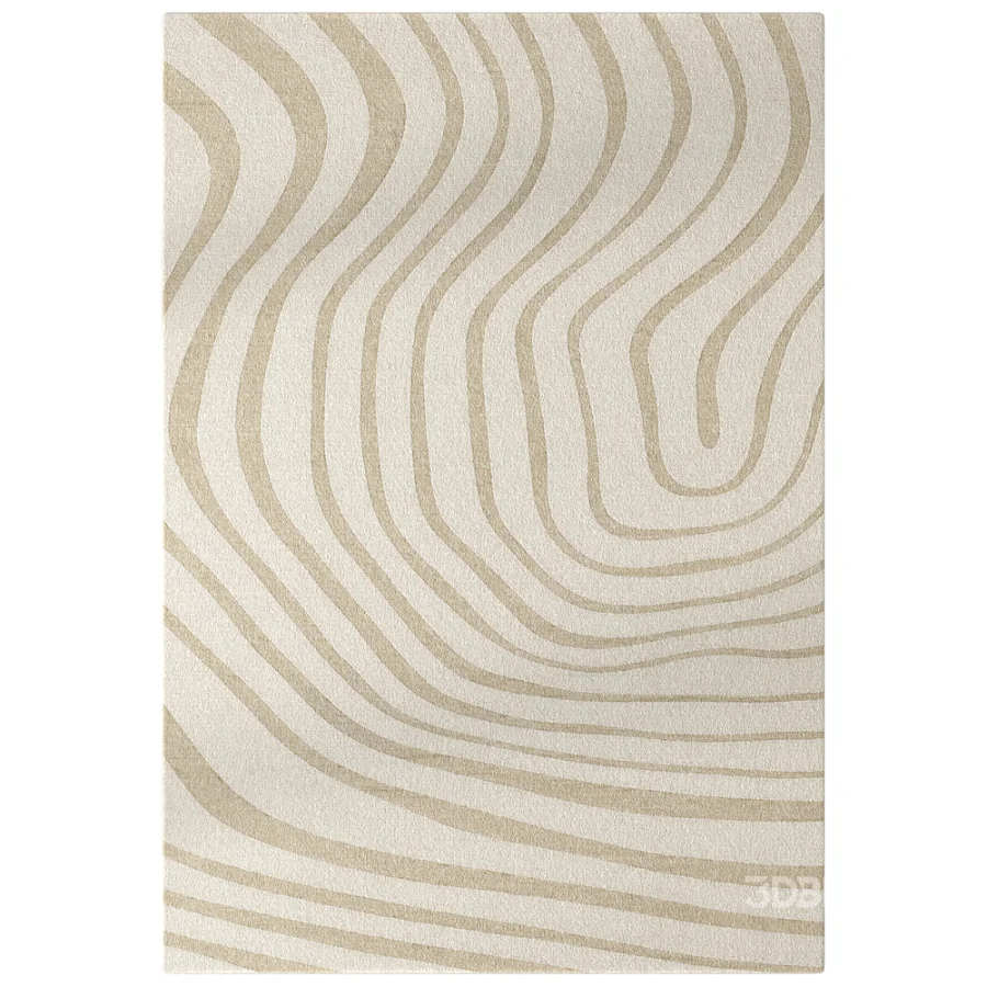 Carpet Image 2