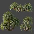 AV Plant Cycas Revoluta Palmfarn Palm Bush 01 - Thumbnail 6