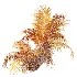 AV Plant Brainea Insignis Fern Palm Tree 02 - Thumbnail 10