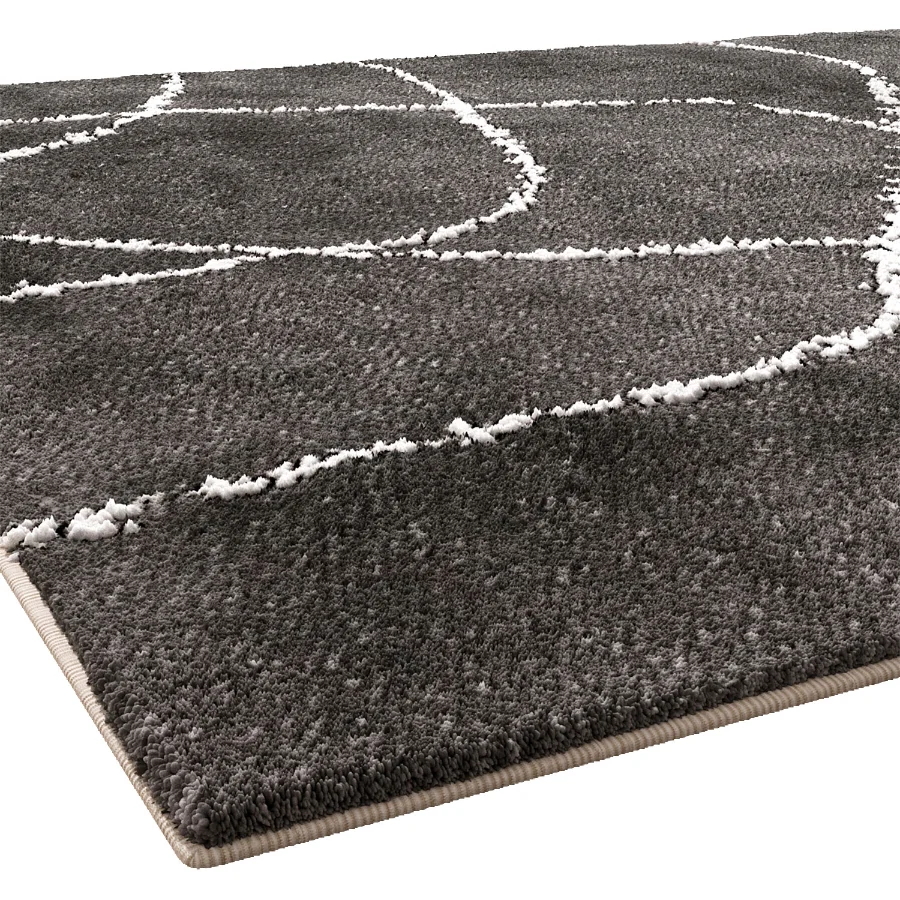 Carpet 019 Image 3
