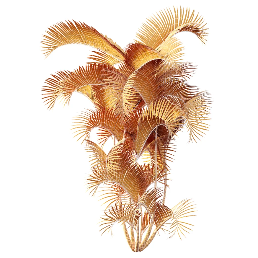 AV Plant Chrysalidocarpus Lutescens Palm Bush 01 Image 9