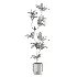 Ficus Benjamina Indoor Plant-set-031 - Thumbnail 3