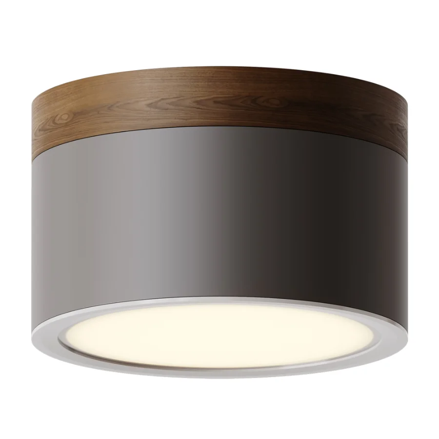 Surface mounted spotlight Model RD-0206 Image 2