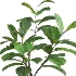Verdant Harmony Planter 061 - Thumbnail 5