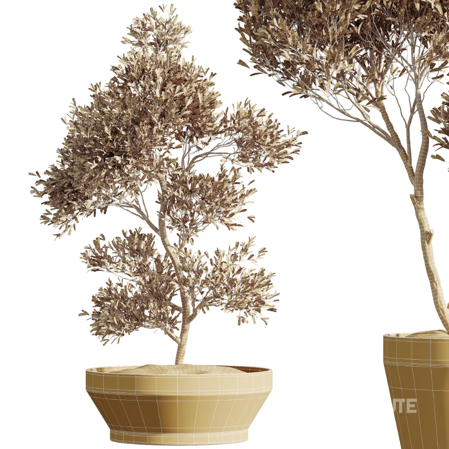 AV Indoor Plants Set 526 Aspidistra Elatior Olive Ficus Palm Image 7
