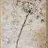 Painting 121 - Thumbnail 2