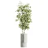 AV Indoor Plants Set 618 Chemlali Olive Areca Palm Eucalyptus Bouquet Bird Of Paradise - Thumbnail 3