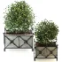 Outdoor Plant 03 – Decorative Planter Trees - Thumbnail 5