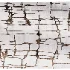 COLOMBO Alezan-Carpet - Thumbnail 4