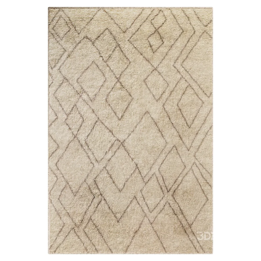 Carpet Image 4