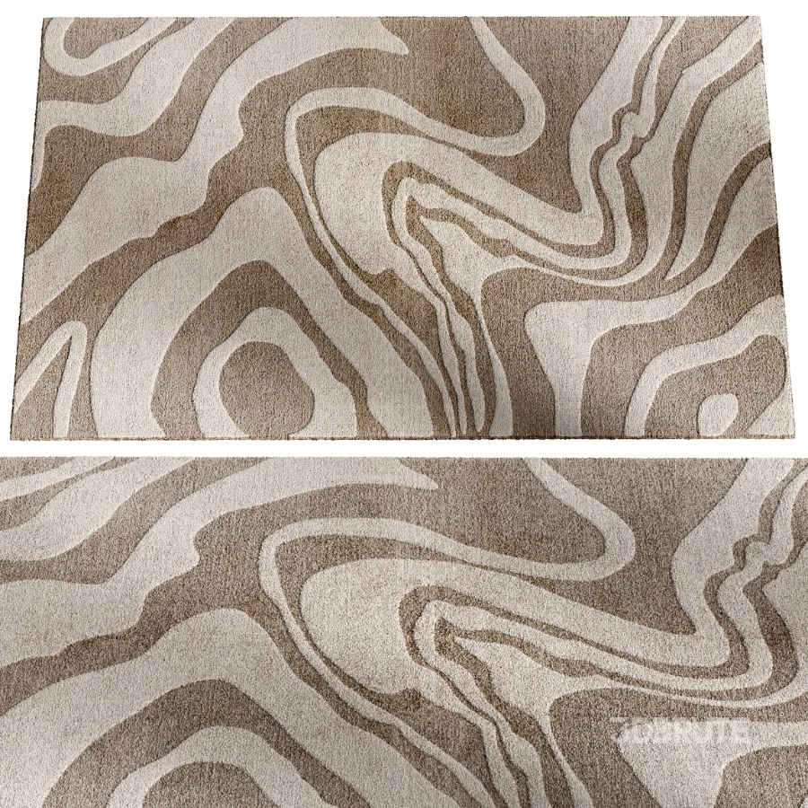 CARPET 05 Image 3