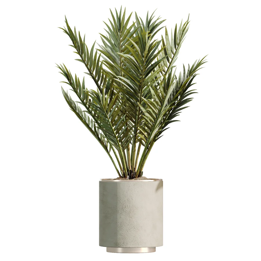 AV Indoor Plants Set 604 Banana Cyara Areca Palm Ficus microcarpa Olive Image 5