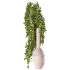 Beouquet of Branches in Vase 056 - Thumbnail 1