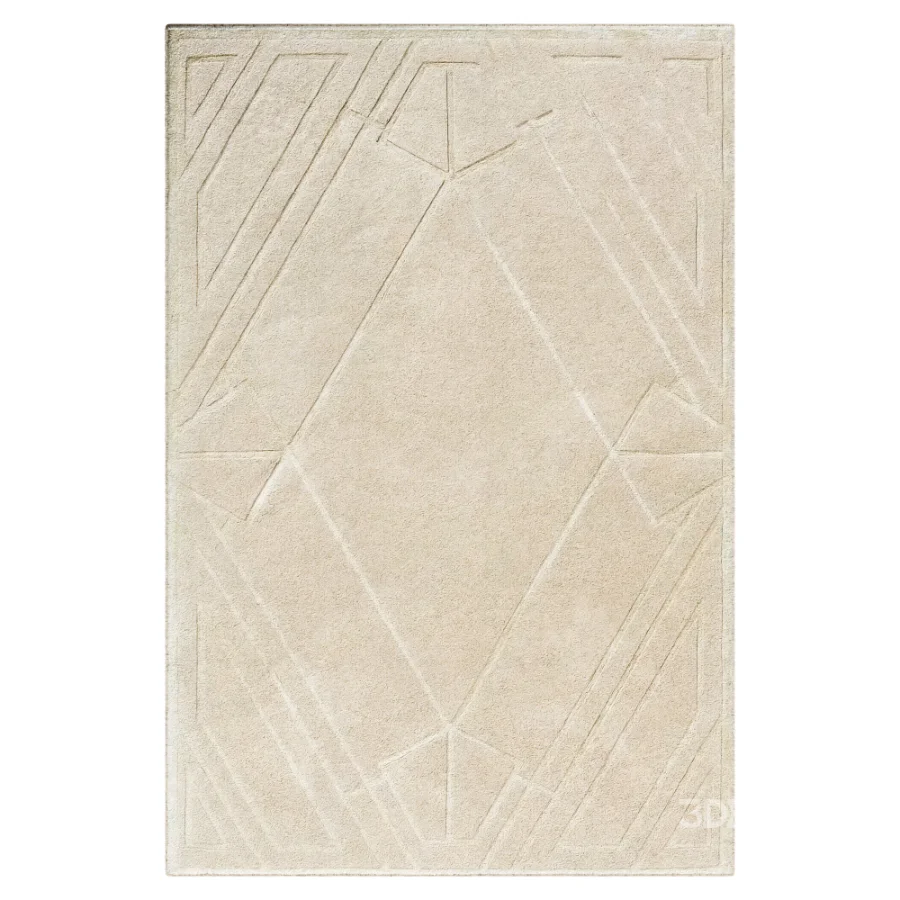Carpet Image 2