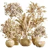 AV Indoor Plants Set 613 Olive Eucalyptus and Chemlali Olive and Ravenala Banana and Lemon Lime Cane - Thumbnail 8