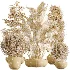 AV Indoor Plants Set 606 Bird Of Paradise Yucca Olive Schefflera Arboricola - Thumbnail 7