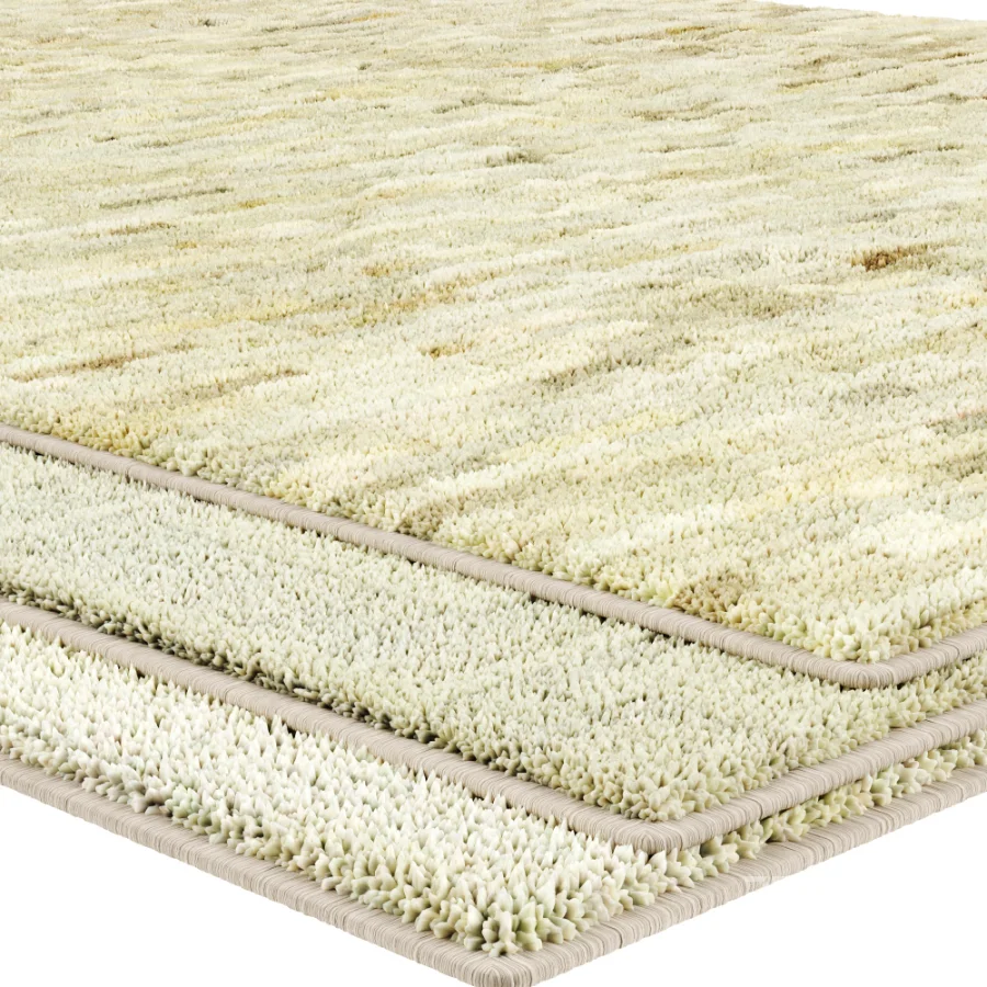 Carpet Image 1