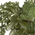 Verdant Cascade Arrangement 058 - Thumbnail 5