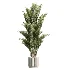 AV Indoor Plants Set 608 Orange Bird Of Paradise Palm Olive - Thumbnail 3