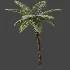 AV Plant Alsophila Spinulosa Fern Tree 01 - Thumbnail 5