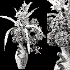 Flowers in Vase Collection 63 - Thumbnail 6