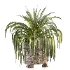 Plant Set 14 - Thumbnail 5