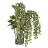 Verdant Cascade Arrangement 058 - Thumbnail 2