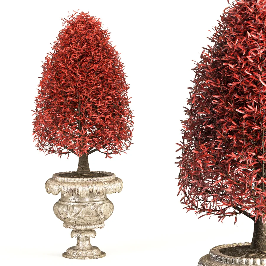Outdoor Plant 06 – Neoclassical Style Image 3